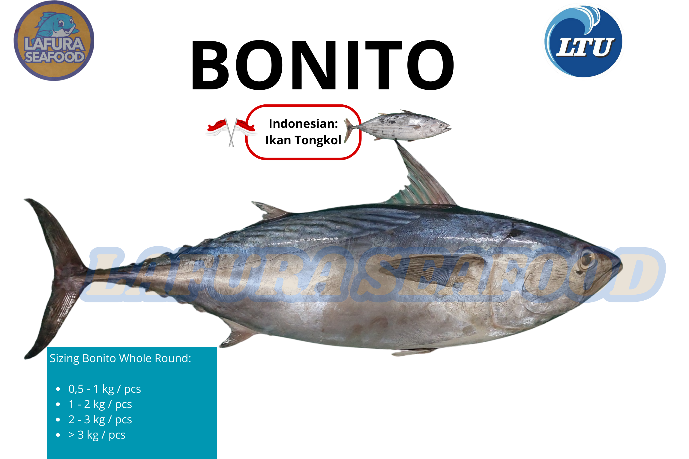 Bonito Whole Round